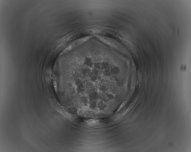 X0000090440189200708031202