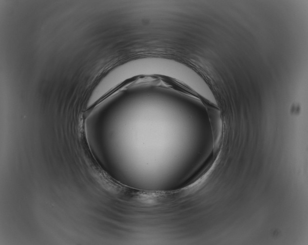 X0000090440190200708031202