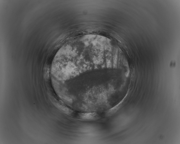 X0000090440191200708031202