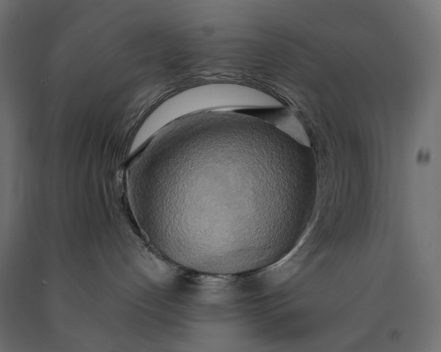 X0000090440192200708031202