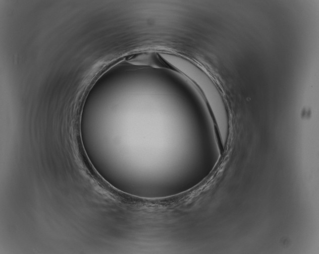 X0000090440193200708031201