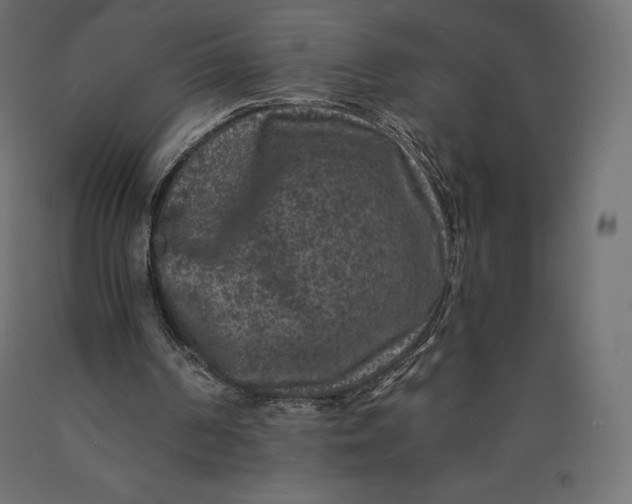 X0000090440194200708031201