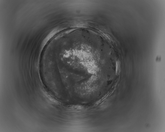 X0000090440195200708031201