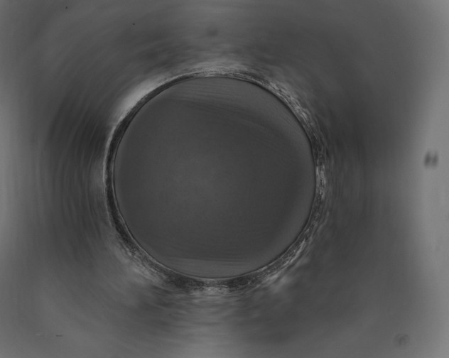 X0000090440196200708031201