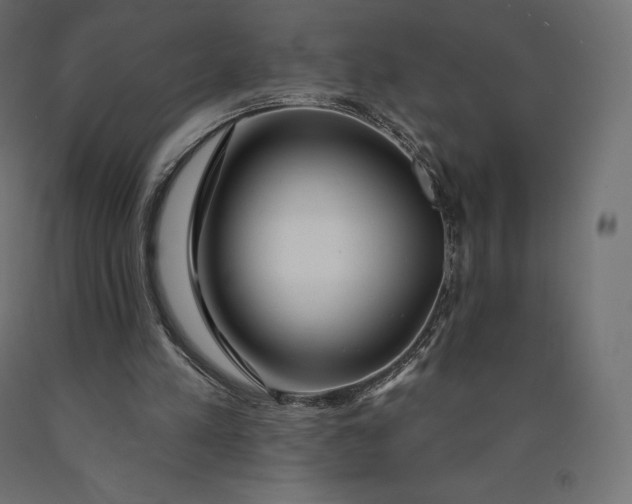 X0000090440197200708031201