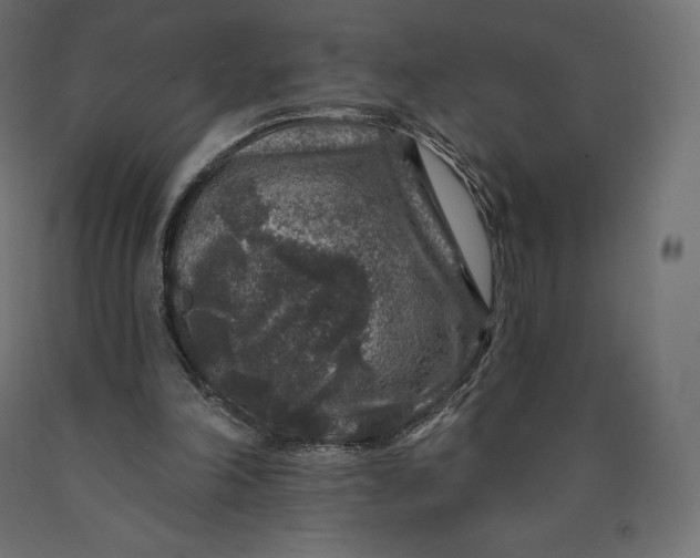 X0000090440198200708031201