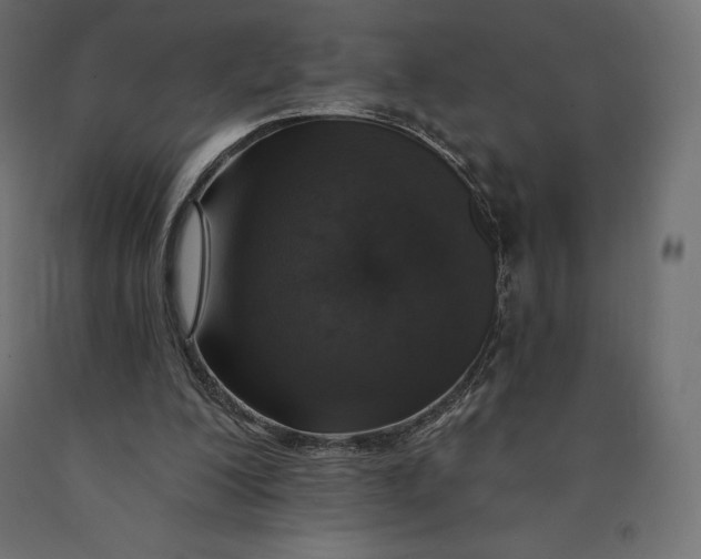 X0000090440200200708031201