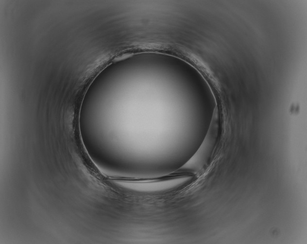 X0000090440201200708031201