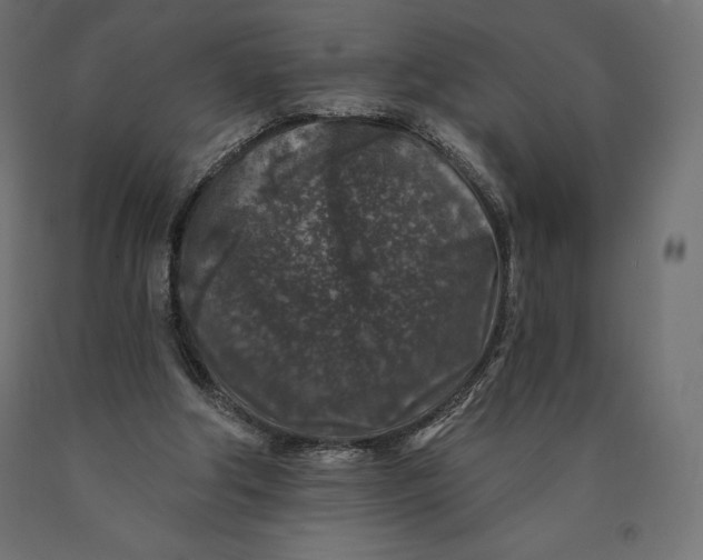 X0000090440202200708031201