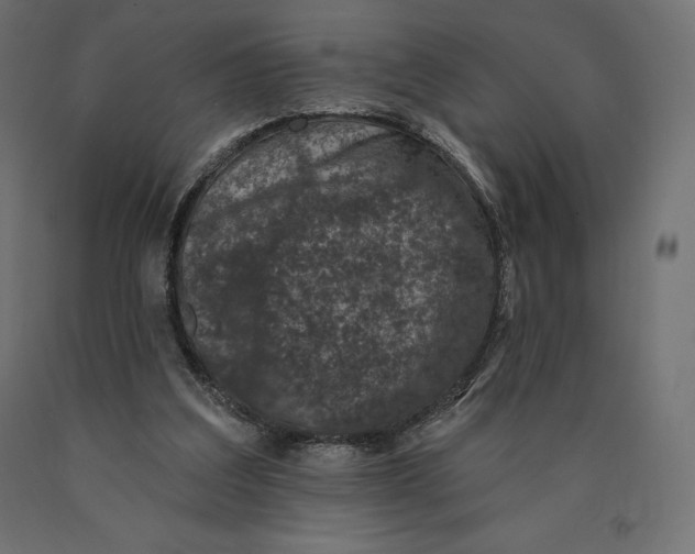 X0000090440203200708031201