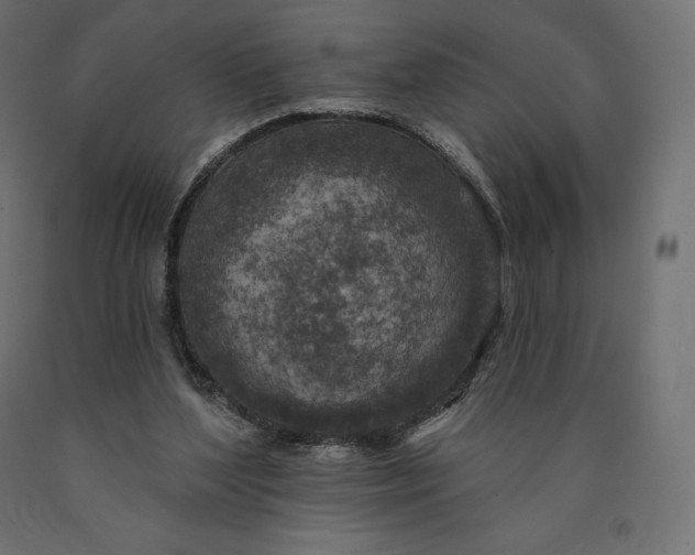 X0000090440204200708031201