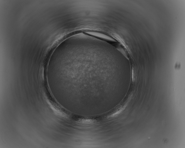 X0000090440205200708031201