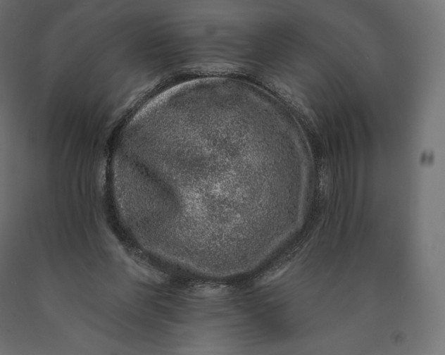 X0000090440206200708031201