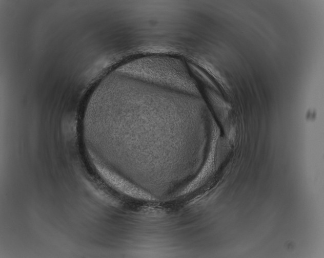 X0000090440207200708031201