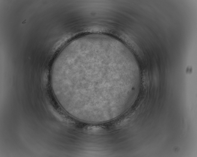 X0000090440208200708031201