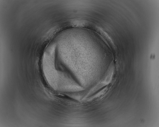 X0000090440209200708031201