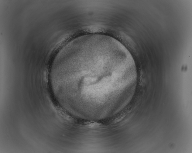 X0000090440210200708031201