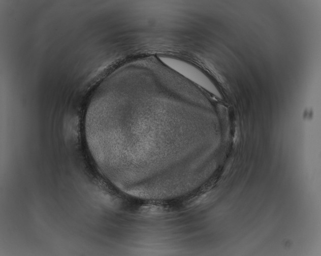 X0000090440211200708031201