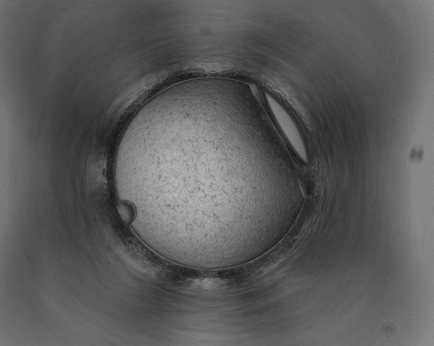 X0000090440212200708031201