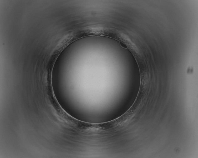 X0000090440213200708031201