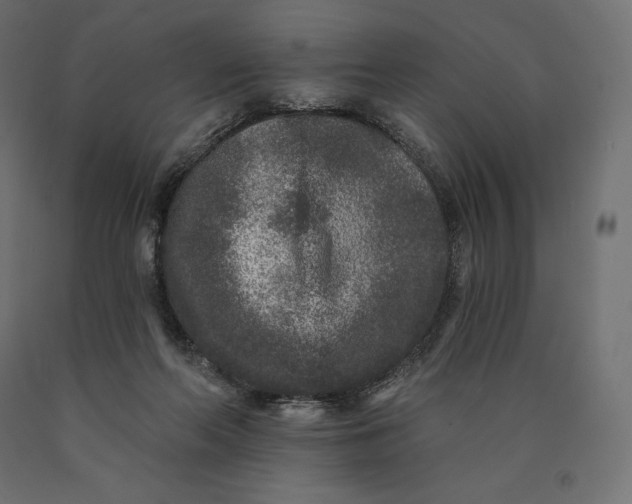 X0000090440214200708031201