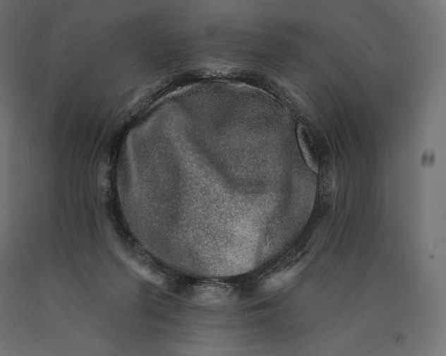 X0000090440215200708031201