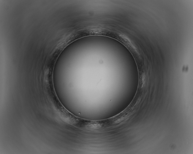 X0000090440217200708031201