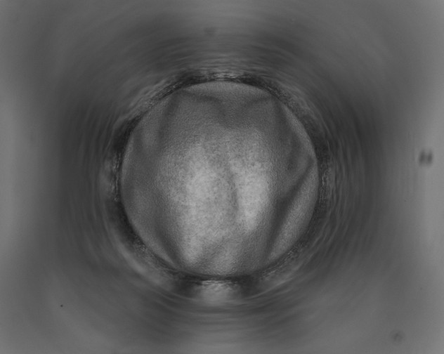 X0000090440218200708031201