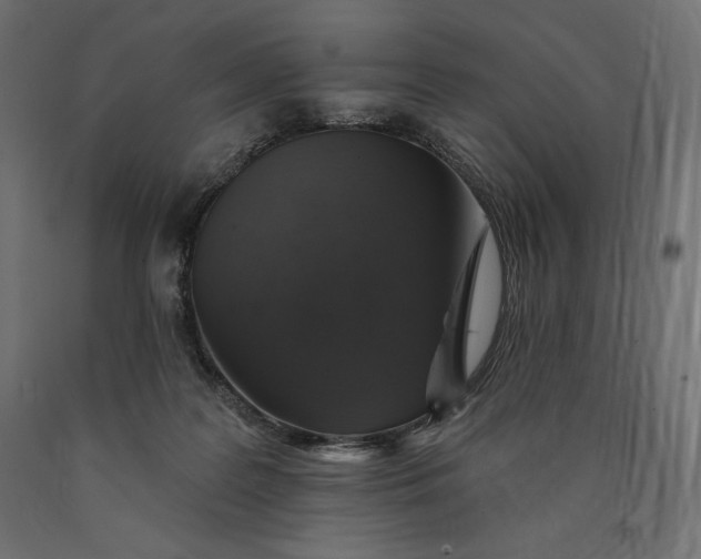 X0000090440219200708031201