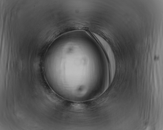 X0000090440221200708031201