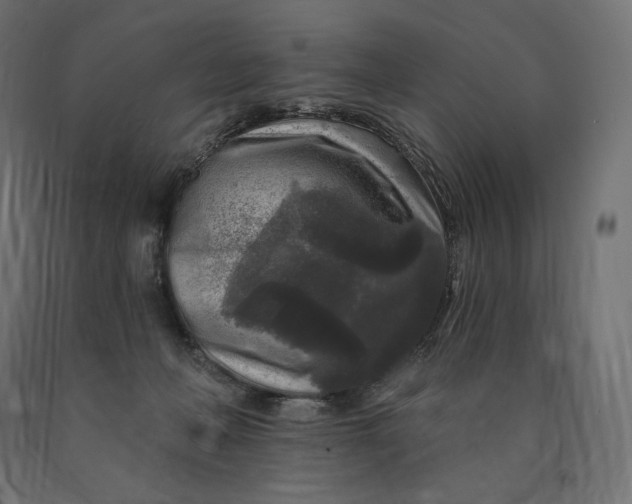 X0000090440222200708031201