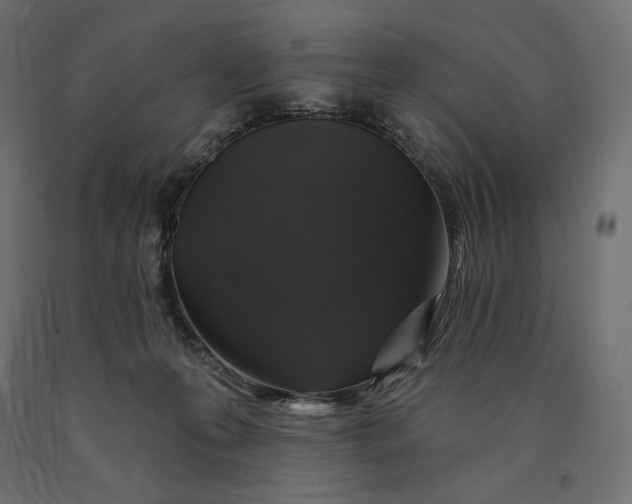 X0000090440223200708031201