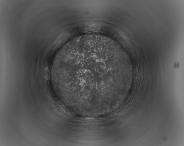 X0000090440224200708031201