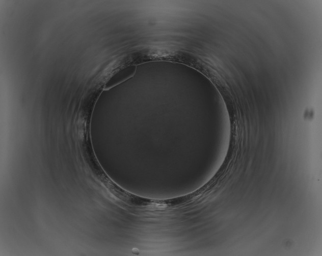 X0000090440227200708031201