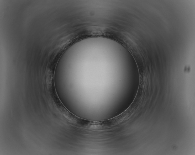 X0000090440228200708031201