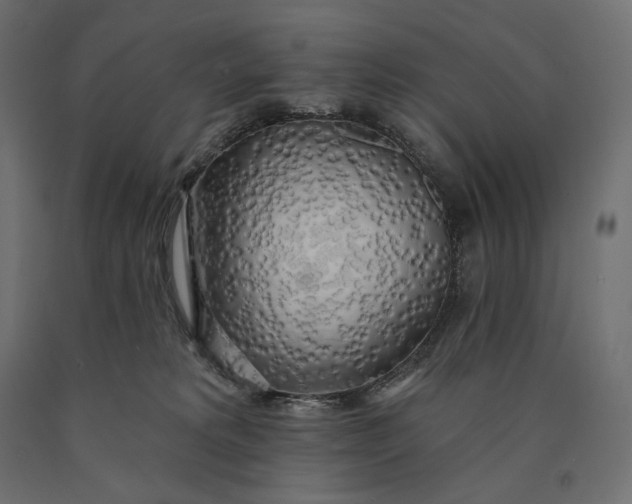 X0000090440229200708031201