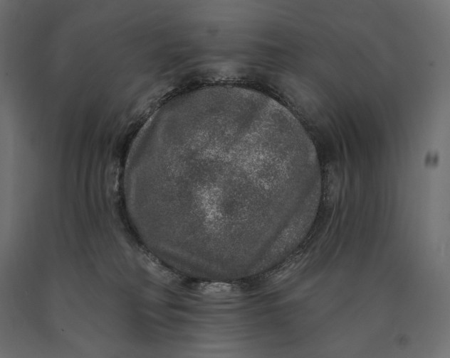 X0000090440230200708031201