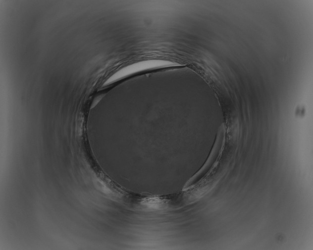 X0000090440231200708031201