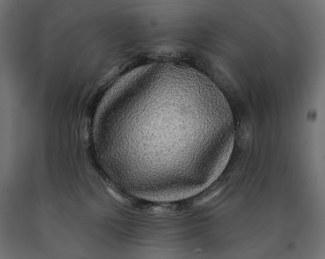 X0000090440232200708031201