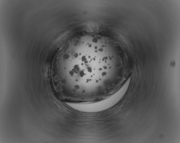 X0000090440233200708031201