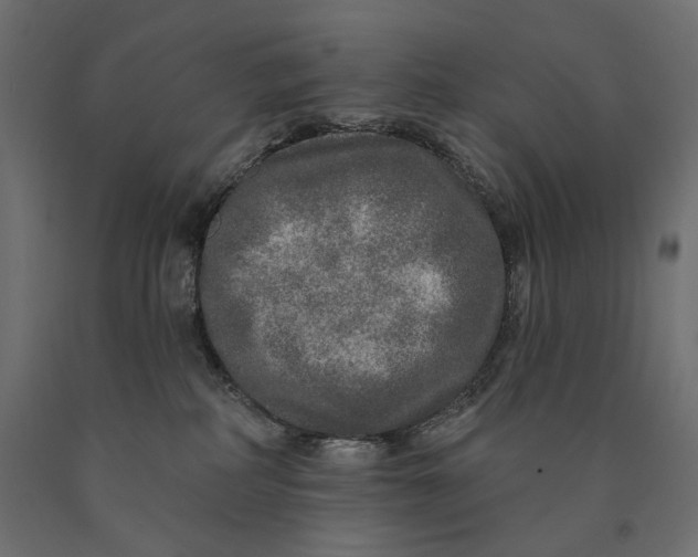 X0000090440234200708031201