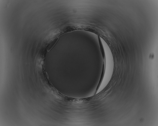 X0000090440235200708031201