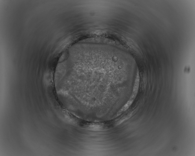 X0000090440236200708031201