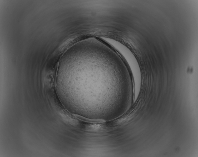 X0000090440237200708031201