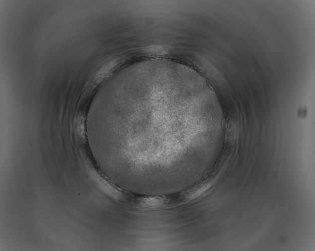 X0000090440238200708031201