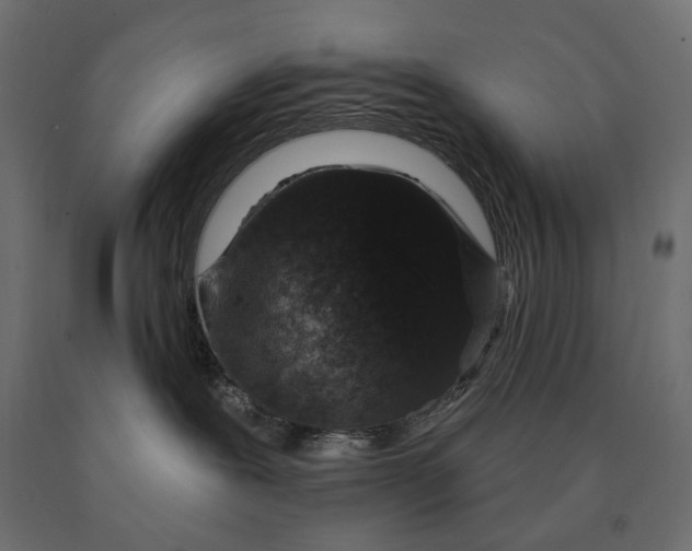 X0000090440239200708031201