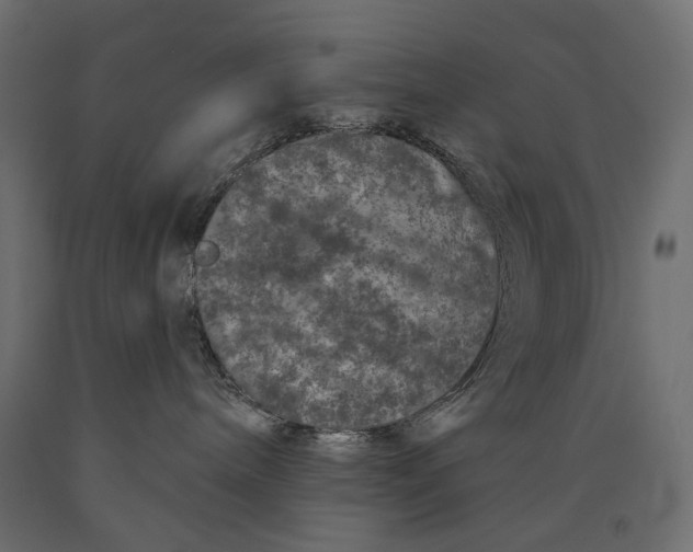 X0000090440240200708031201