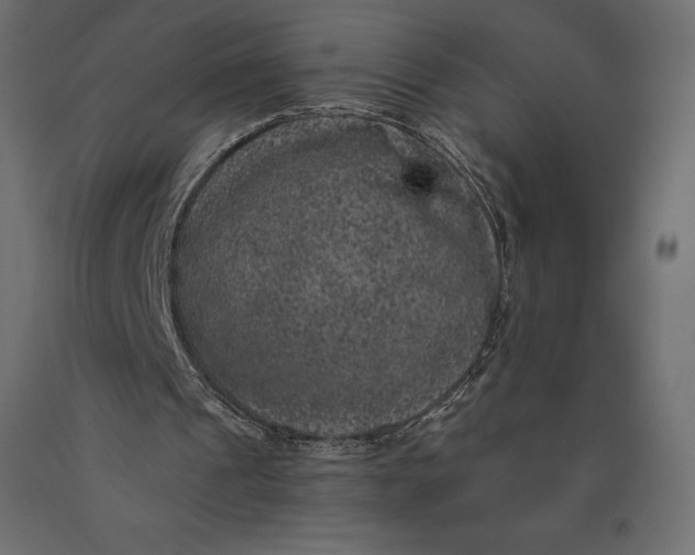 X0000090440241200708031200