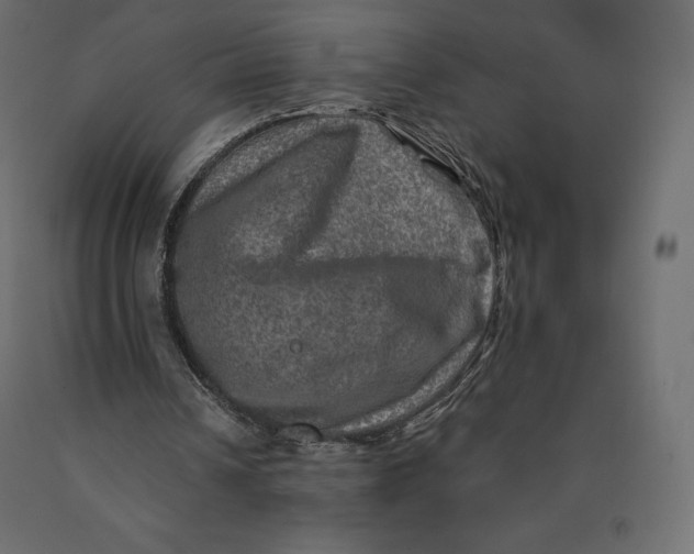 X0000090440242200708031200