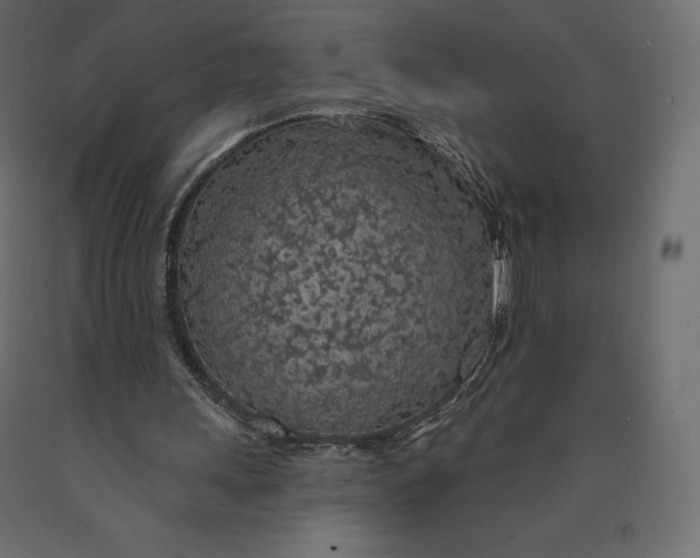 X0000090440243200708031200